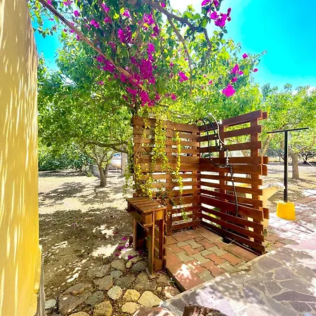 Dreamy Countryside * Bari Sardo